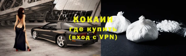 mdpv Богородицк